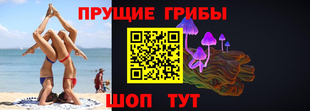 продажа наркотиков  Псилоцибиновые грибы мухоморы  Вход с VPN  Железногорск 